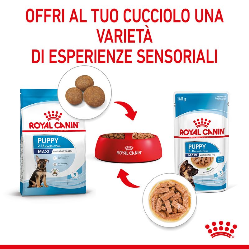Royal Canin Maxi Puppy in Salsa
