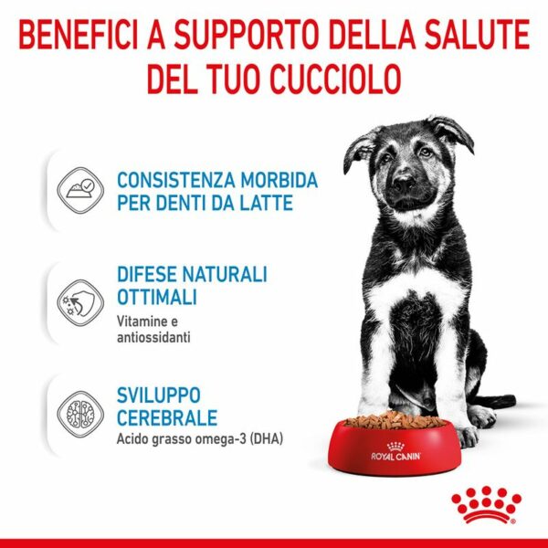 Royal Canin Maxi Puppy in Salsa