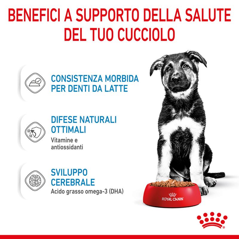 Royal Canin Maxi Puppy in Salsa