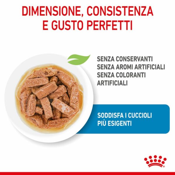 Royal Canin Maxi Puppy in Salsa