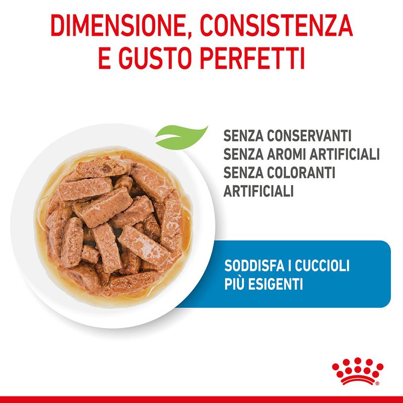 Royal Canin Maxi Puppy in Salsa