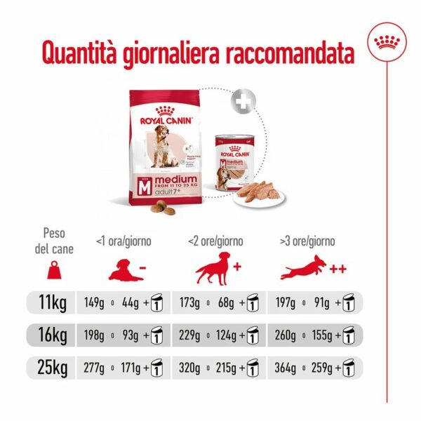 Royal Canin Medium Adult 7+