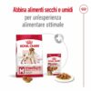 Royal Canin Medium Ageing 10+