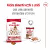 Royal Canin Medium Ageing 10+