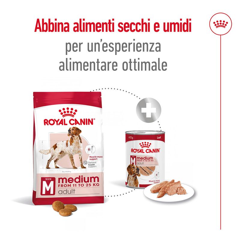 Royal Canin Medium Ageing 10+