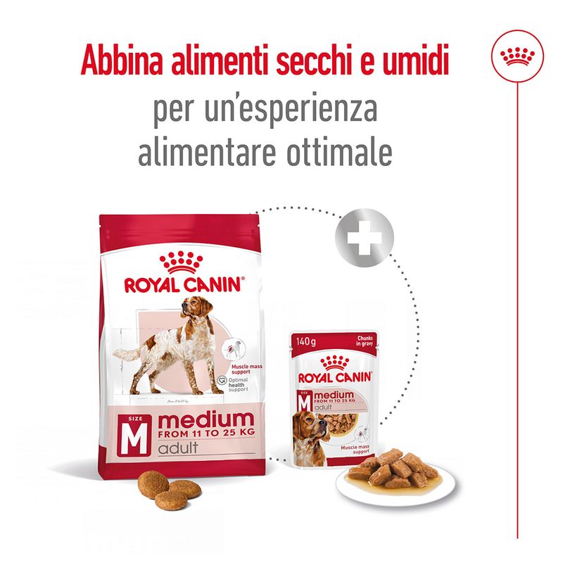 Royal Canin Medium Ageing 10+