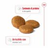 Royal Canin Medium Ageing 10+