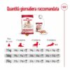 Royal Canin Medium Adult