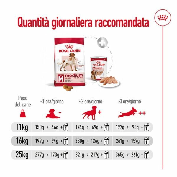 Royal Canin Medium Adult