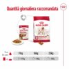 Royal Canin Medium Adult in Salsa