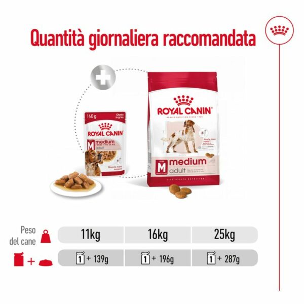 Royal Canin Medium Adult in Salsa