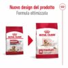 Royal Canin Medium Ageing 10+