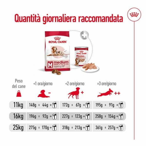 Royal Canin Medium Ageing 10+