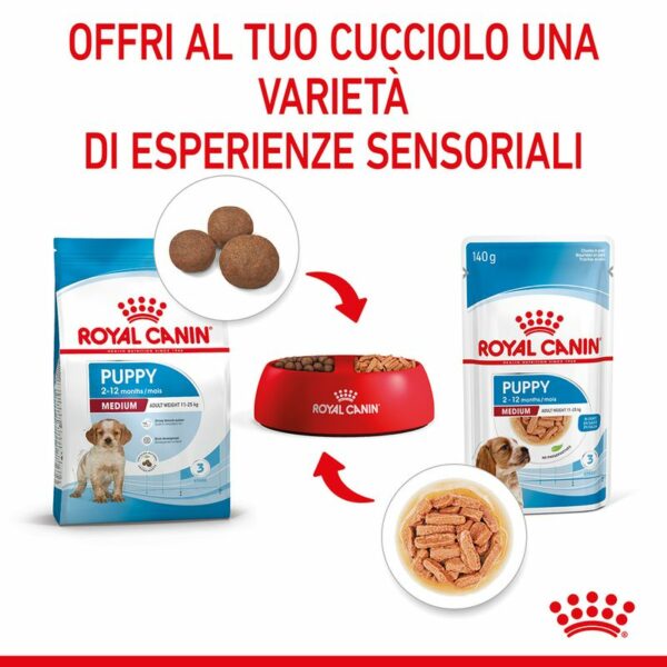 Royal Canin Medium Puppy in Salsa