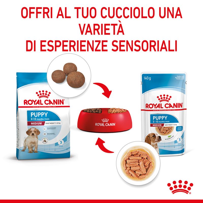 Royal Canin Medium Puppy in Salsa