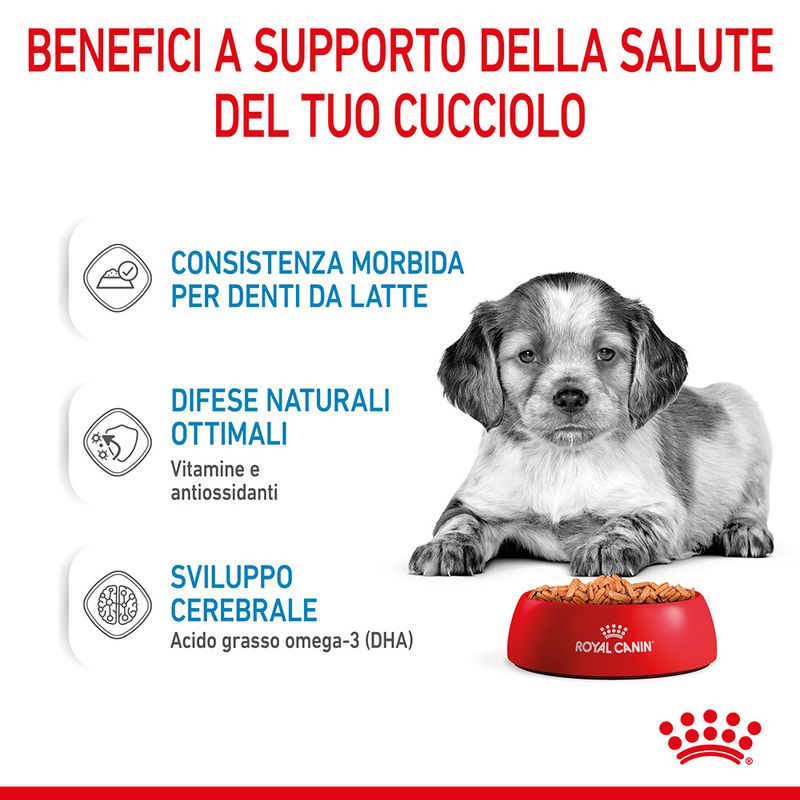 Royal Canin Medium Puppy in Salsa