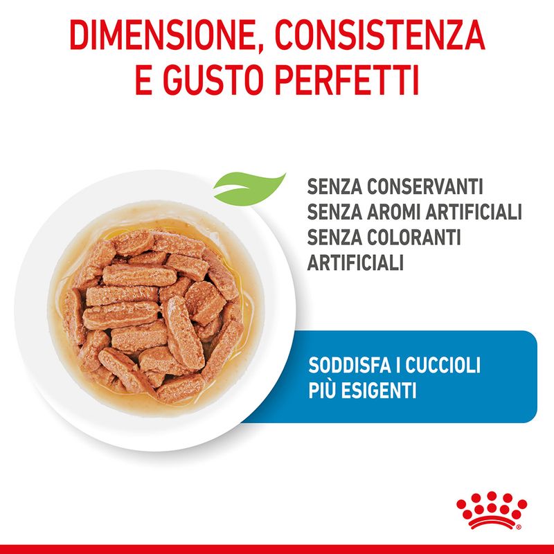 Royal Canin Medium Puppy in Salsa