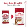 Royal Canin Medium Ageing10+ in Salsa