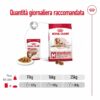 Royal Canin Medium Ageing10+ in Salsa