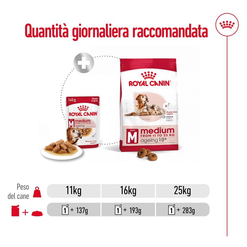 Royal Canin Medium Ageing10+ in Salsa