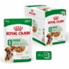 Royal Canin Mini Adult in Salsa