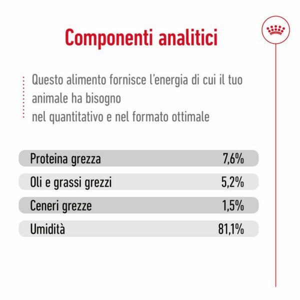 Royal Canin Mini Adult in Salsa