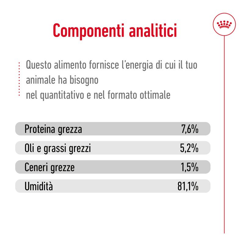 Royal Canin Mini Adult in Salsa