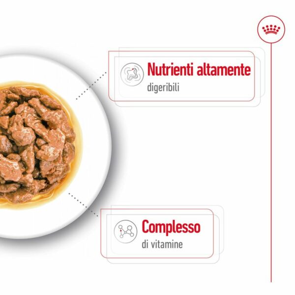Royal Canin Mini Adult in Salsa