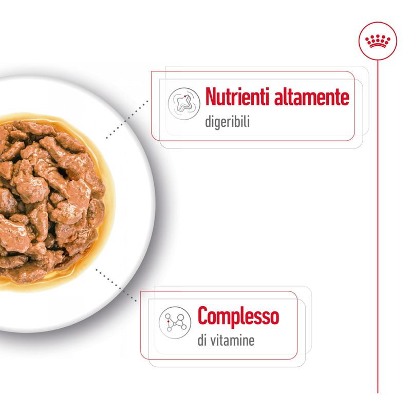 Royal Canin Mini Adult in Salsa