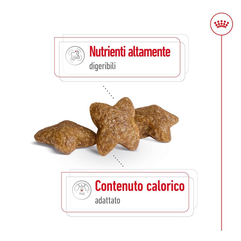 Royal Canin Mini Adult