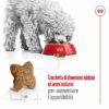 Royal Canin Mini Adult