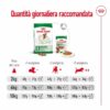 Royal Canin Mini Adult