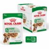 Royal Canin Mini Ageing 12+ in Salsa