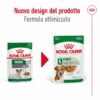 Royal Canin Mini Ageing 12+ in Salsa