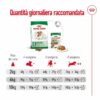 Royal Canin Mini Ageing 12+