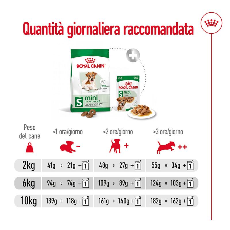 Royal Canin Mini Ageing 12+
