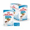 Royal Canin Mini Puppy in Salsa
