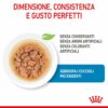 Royal Canin Mini Puppy in Salsa