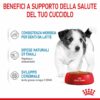 Royal Canin Mini Puppy in Salsa