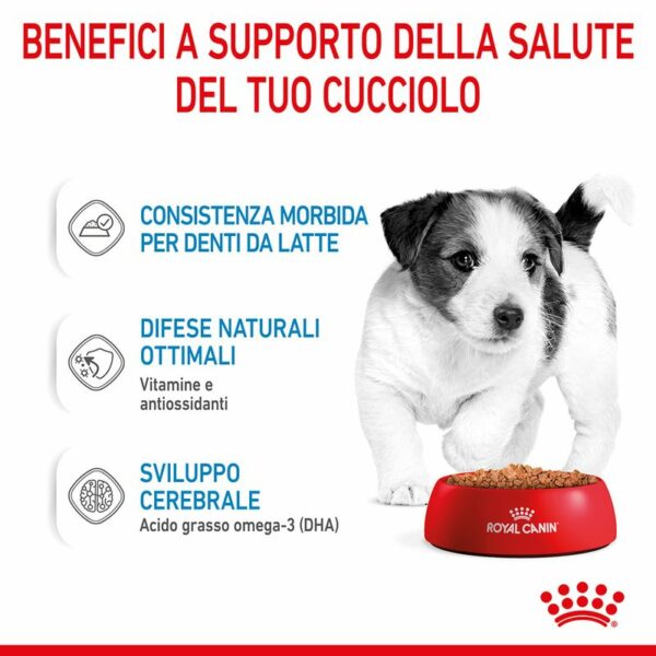 Royal Canin Mini Puppy in Salsa