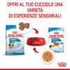 Royal Canin Mini Puppy in Salsa