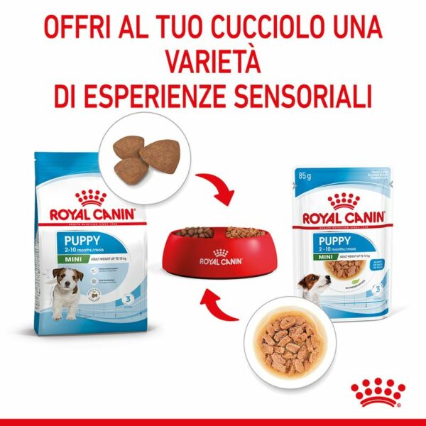 Royal Canin Mini Puppy in Salsa