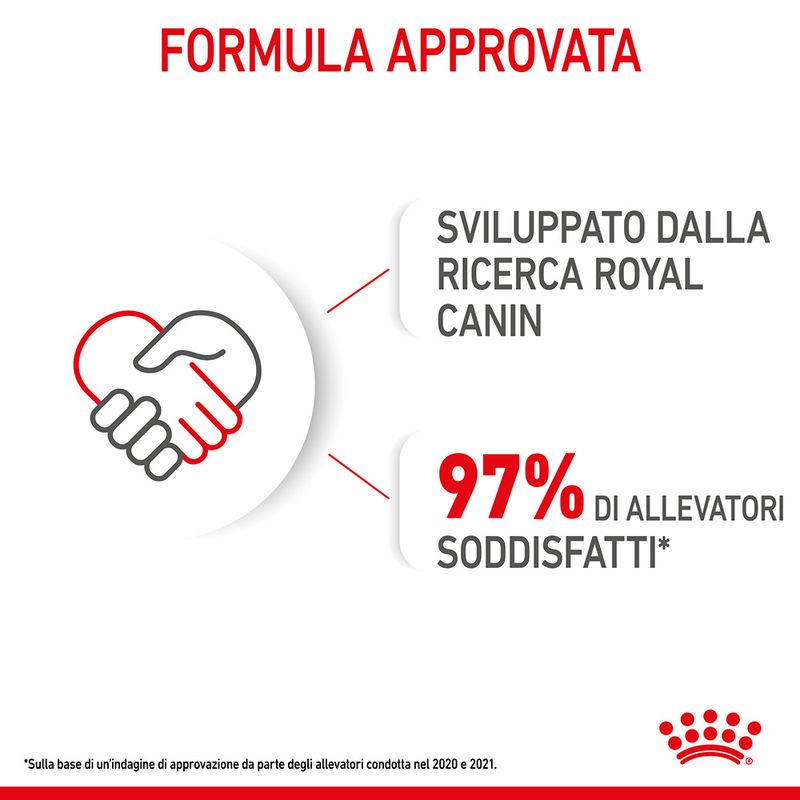 Royal Canin Maxi Ageing 8+ in Salsa