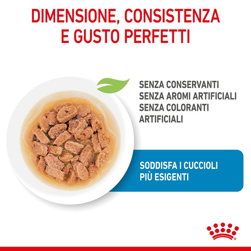 Royal Canin Mini Puppy in Salsa