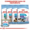 Royal Canin Starter Mousse Mother & Babydog
