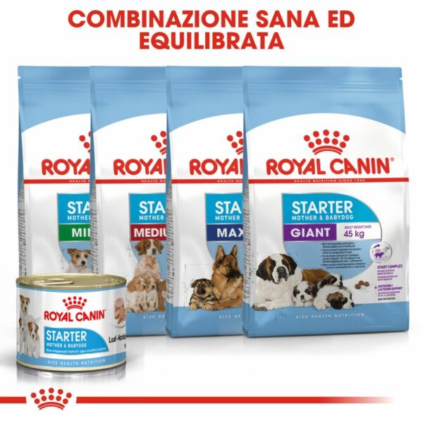 Royal Canin Starter Mousse Mother & Babydog