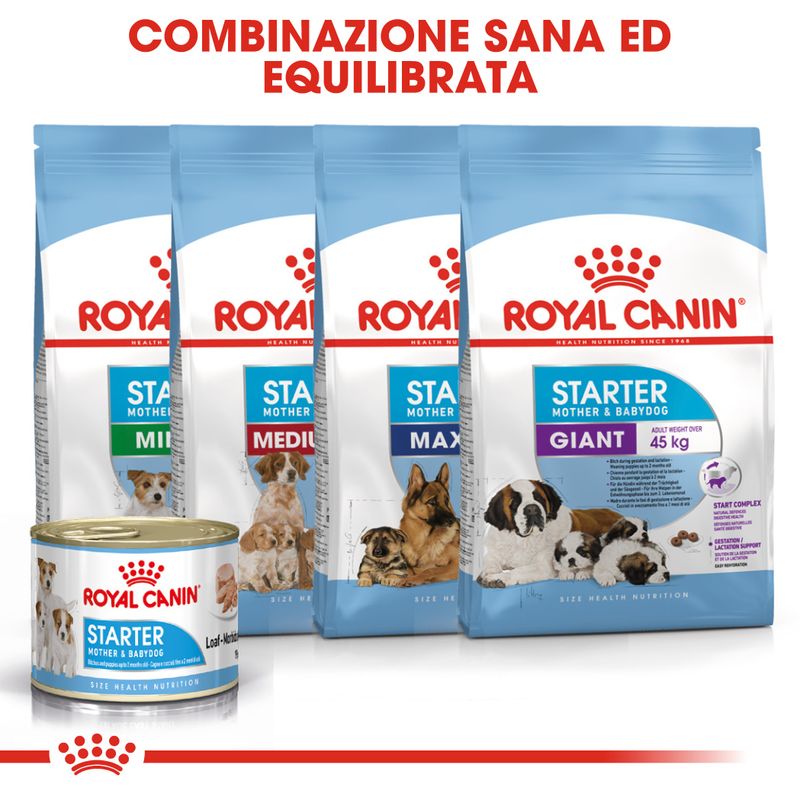 Royal Canin Starter Mousse Mother & Babydog