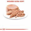 Royal Canin Starter Mousse Mother & Babydog