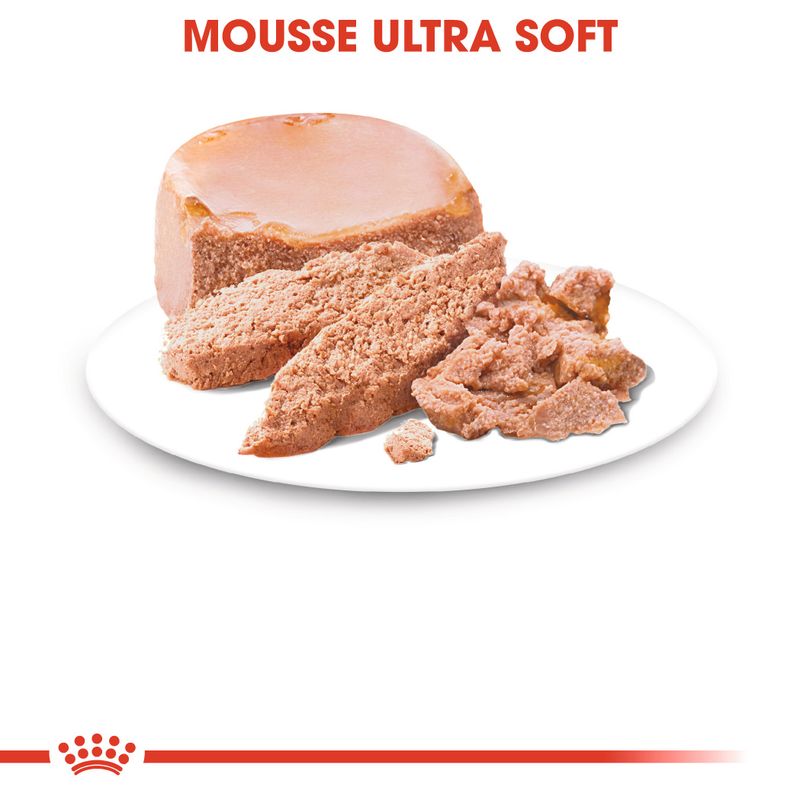 Royal Canin Starter Mousse Mother & Babydog