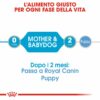 Royal Canin Starter Mousse Mother & Babydog